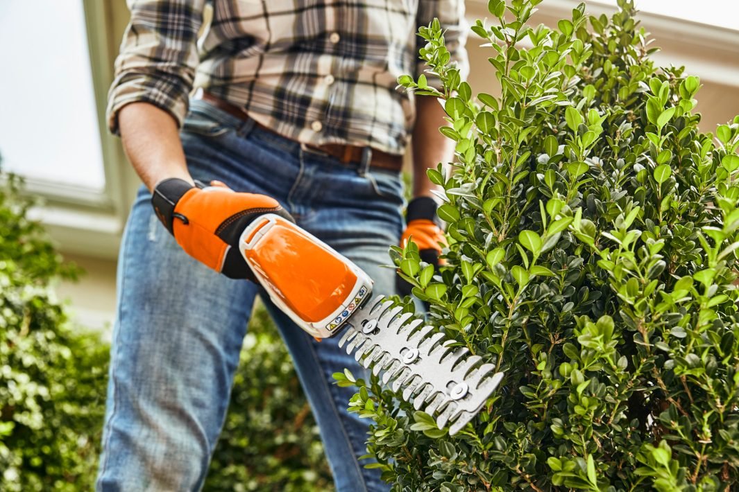 Cisaille à Arbustes et Gazon HSA 26 avec Batterie AS 2 et Chargeur AL 1 - STIHL – Image 5